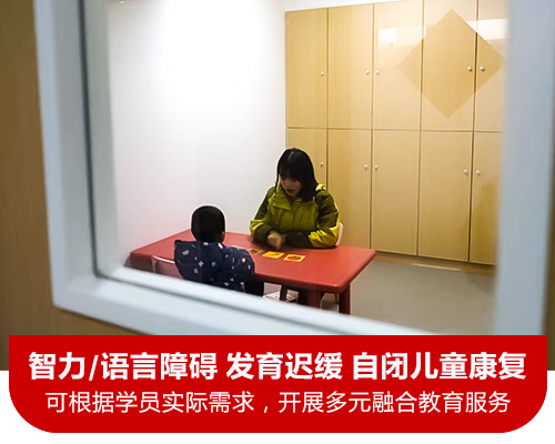 上海智力障碍诊断标准